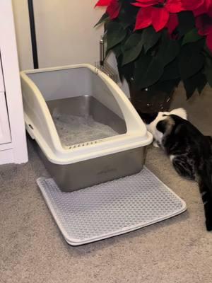 #creatorsearchinsights  #catmusthaves #catlitterbox #stainlesssteellitterbox #litterboxproblems #catloversoftiktok #catloversworld  #AIPERRO @AIPERRO 