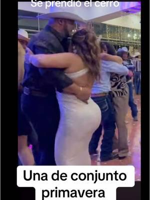 #bailes #puros #corridos #mexico #paratii #viralvideo #fyp 