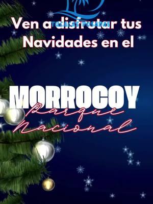 Ultimas fechas disponibles. Hasta el 30 de Diciembre y luego a partir del 4 de Enero #ParqueNacionalMorrocoy #feliznavidad #playasdevenezuela #TurismoVenezuela #Navidad2024 #VeranoEnMorrocoy #Morrocoy2024 #QueBonitaEsVenezuela #AventurasEnMorrocoy #VenezuelaIncreible 