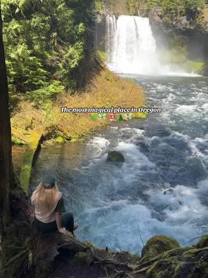 Easily the most beautiful waterfall in Oregon 🌿🧚🏼‍♂️🍄 #oregoncheck #oregon #waterfallsoftiktok #koosahfalls #mckenzierivertrail #granolagirlaesthetic 