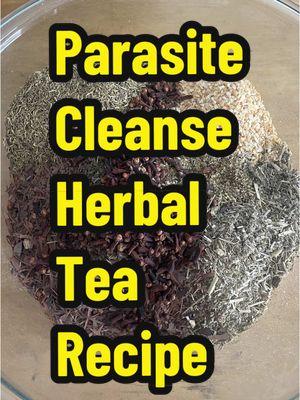 Parasite Cleanse Herbal Tea Blend Recipe for anyone searching for How to Parasite Cleanse, Parasite Detox and/or wondering which herb, herbs and/or teas can help remove parasites. #parasitecleanse #parasitesymptoms #parasitedetox #parasitetea #herbalmedicine #herbaltea #herbalteablend #tea #herbalism #MICOPEIA #tiktokshopholidayhaul 