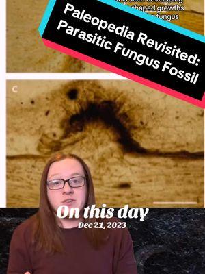 Fungus have been around for hundreds of millions of years. They're some of the oldest forms of more complex life in the fossil record, with one potential funfus fossil being a billiom years old. A new discovery, while its not the oldest fungus fossil, IS the oldest fungus fossil that shows direct evidence of fungal parasitism. Lets talk about it #Paleopedia #dino #dinotok #dinosaur #fossil #fossils #fossiltok #fossilhunting #paleopeotok #paleontology #paleontologytiktok #evolution #prehistoric #prehistoricplanet #science #sciencetok #fungus 