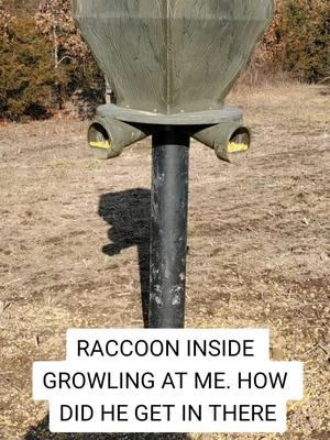 Houston we have a problem #fypシ゚viral #raccoonsoftiktok #deer #whitetail #huntingtiktok #deertiktok #deerfeeder #iowahunting 