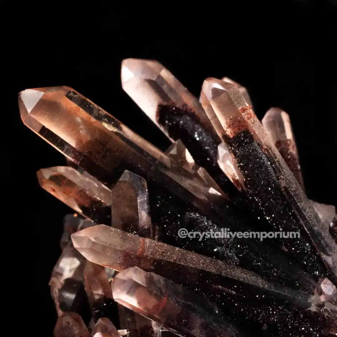 Dragon Phantom Quartz from Hyderabad, India. This is an incredible lot of Phantom Quartz with Hematite Inclusions. There is a black/purple sugar druze on the crystals, which is Microcrystalline Quartz. We are THRILLED to have this unreal lot for you and it will be available on our Sunday live sale at 2pm est. New here? We specialize in High Quality Indian Minerals and new finds. #crystaltok #indianminerals #crystalliveemporium #dragonphantomquartz #phantomquartz #quartz #rarecrystals #rareminerals #mineraldealer #rarecrystals 