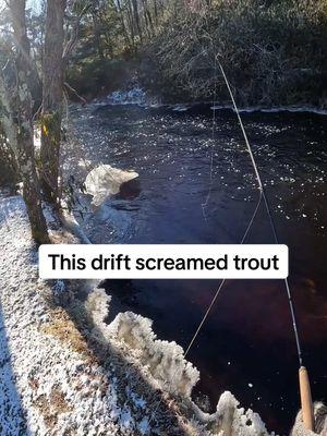 The ice on the line was frustrating. Its an all new casting technique when the ice builds up. The way the white foam drifted around the ice chunk…This drift was screaming trout. #flyfishing #flyfishdelawhere #flyfishingnation #flyfishinglife #trouthole #fishinghole #fisherman #flyfisher #catchandrelease #winterflyfishing #winterfishing #lidrig 