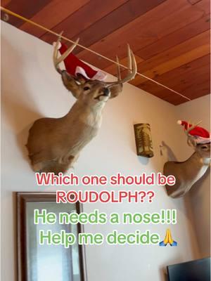 I need to name my Roudolph by giving him a red nose, help me decide.#sassyoutdoorchick #christmas #roudolph #deer#reindeer #santa 