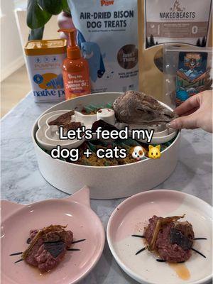 Let's feed my dog + cats 🐶🐱 -@Viva Raw Chicken + Duck  -@Native Pet Pumpkin  -@Zesty Paws Salmon Oil  -@Ancestral Hunter Pet Treats Turkey Head  -@Lonestar Pet Treats LLC Quail Feet  -@NAKED BEASTS Beef Kidney -@West Paw Bison Lung  "PETCREW" for 20% off Viva Raw 🥩 #catsoftiktok #dogsoftiktok #catfood #dogfood #letsfeedmycats #letsfeedmydog #rawdiet #rawfeeding #rawfood  #rawpetfood #catnutrition #dognutrition 