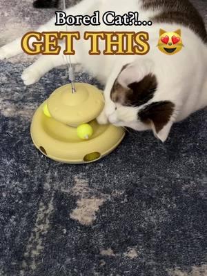 Definitely one of the best cat toys to keep them busy we have found 🤗 #cat #catsoftiktok #cattok #cattoy #cattoys #catenrichment #interactivecattoy #kittentoys #catenrichmentideas #cattips #catowner #tiktokshopfinds #mademyyear #newyearnewaura #fyp 