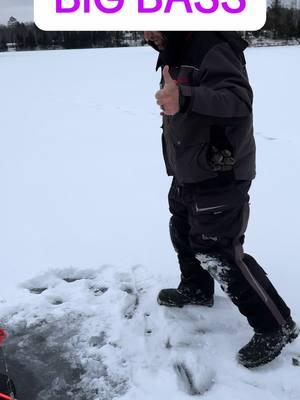 Big bass caught through the ice!!! Definitely fun catching these fish through the ice in #michigan #fypシ #fish#icefishing #icefish #icefishingwisconsin #icefishingtiktok #bass#bassfishing #basstok #fishtok #fishing #fishinglife #fisherman #fishingtiktoks #fishcontent #trending #trend #foryoupage #fypage 