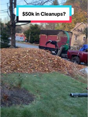 Leaf money #oneillawncare #lawncarebusiness #viral #foryou #leaves #fallcleanup #leafremoval 