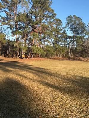 Making tree removal look fun🎥 #southeastgeorgia #johndeere333g #girlboss #treeremoval #fyp 