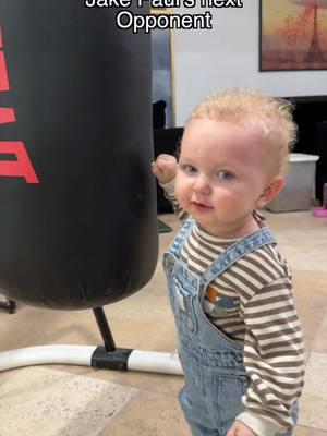 You think @Jake Paul can take him on?🥊 @babyares  #babyares #baby#boss #bossbaby #mamasboy #ceobaby #navalua #bossbaby #navaluas #jakepaul #miketyson #boxing #boxingtraining #navaluafamallovertheworld #foryou #fy #babiesofinstagram #funnyvideos #babydriver #babyvlogger #babyinfluencer #babyboy #babygoals #trending #theoriginalbabydriver #theoriginalbabyhitman #cookies #lovecookies #arizona #phoenix #az @Jeddah navalua @Ameerah Navalua @Famhouse @The Navaluas @Mike Tyson 