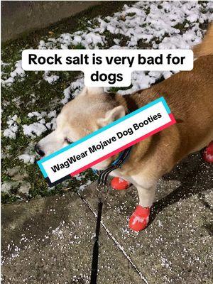 We ❤️ WagWear Booties #dogboots #dogshoes #wagwear #wagwellies #doglover #dogmom #dogsoftiktok #shibainu #shiba #doge #dogproducts #petproducts #PetsOfTikTok #crazydogmom #paws #psa #protection #pawprotection #pamperedpets #tiktokshopfinds #TikTokShop  