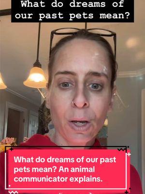 What do dreams of our past pets mean? An animal communicator explains. #animalcommunication #animalcommunicator #petpsychic #petpsychicreading #petcommunicator #petcommunication #animalpsychic #petmedium #caninecommunication #felinecommunication #talktoanimals