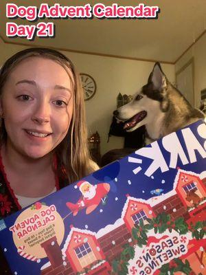 Its so cute 🥰 #microinfluencer #microinfluencertips #microinfluencertiktok #microinfluencerjourney #microinfluencergrowth #christmas #25daysofchristmas #dog #dogmom #husky #huskylife #huskysoftiktok #costcofinds #costco #costcodogfinds #adventcalendar #dogadventcalendar 