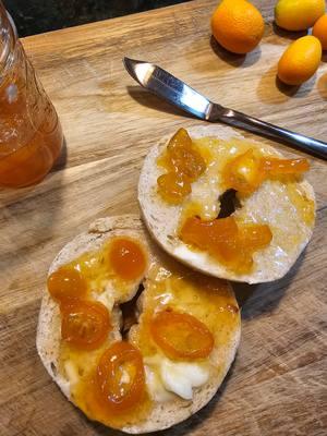 Turn your kumquat harvest into this amazing Spiced Rum Kumquat Marmalade! 🍊✨ Here’s how: Slice 1 lb kumquats (save seeds for pectin) Add juice of 1 Meyer lemon, 2 cups sugar, and 2.5 cups water Let seeds soak in the mixture for 3 hours using a strainer Simmer with ½ cup Spiced Rum until thickened Can in sterilized jars or enjoy fresh! Perfect on buttered bagels or homemade sourdough—seriously, sooo good! #KumquatMarmalade #HomemadeJam #GrowYourOwnFood #CitrusHarvest #GardenToTable #PreservingSeason #SourdoughLovers #SpicedRum #EasyRecipes #FoodieFavorites #garden 