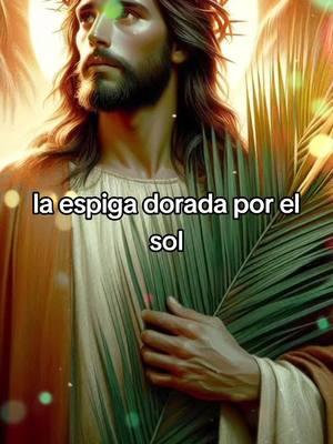 #cantoscatolicos #igleciacatolica #catolicos 