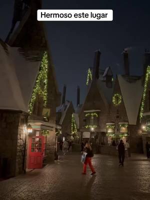 Esperando el show de luces #hogsmeade #hogwarts#universalstudioshollywood 