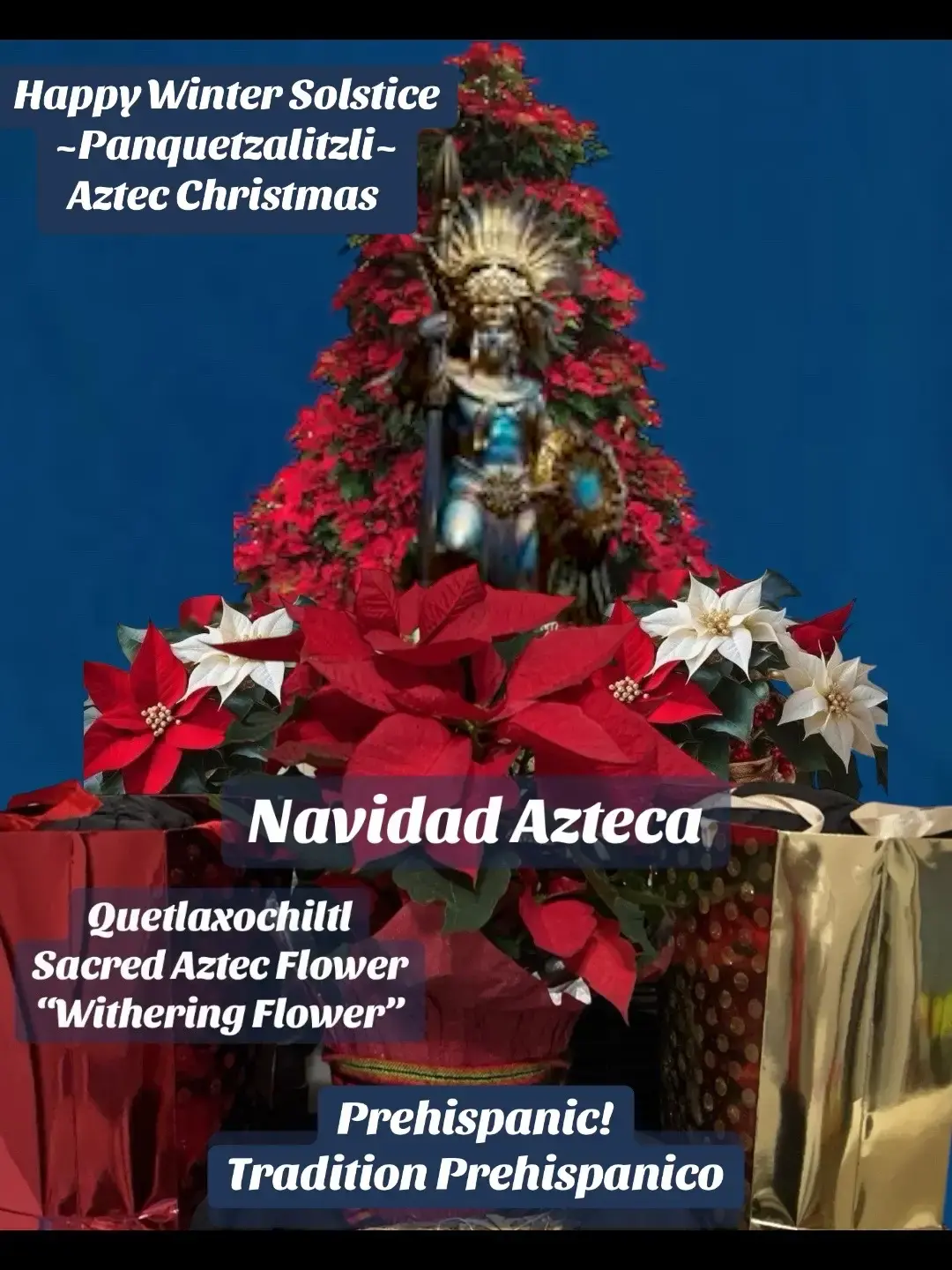 Happy Winter Solstice -Panquetzalitzli- Birth of the SUN 🤎🪅🎁🙏🏽🦌🎄🌅⛅️☀️🛷🤶🧑‍🎄☃️❄️🇲🇽🪶🔥🦌🏹 #Aztec Christmas Navidad Azteca #Quetlaxochiltl #raices #cultura Sacred Aztec Flower "Withering Flower" it is time to take back our native traditions as Mexicans why stop at Dia Muertos-Day of the dead and Quincenieras? We have a rich beautiful culture to embrace and preserve for our future generations. Although there was always pagan traditions around the world celebrating Winter Solstice , nothing comes close to what the Aztec celebrated when compared side by side to Christmas as it is created and celebrated today. The celebration is in honor of a Huitzilopochtli the Sun & Warrior spirit . There were many Native influences such as tree decorating , poinsettia flower /a.k.a. Quetlaxochiltl/Flor de NocheBuena , caroling, gifting, snow sled, sacred deer, creating treats paired with hot beverages, and of course, celebrating the birth of the SUN. Las Posadas at the root also make up part of this Aztec tradition. . Present day Christmas was not even started until the the 17th century 1600s years after colonizers arrived in America and settled. This version is a conglomeration of many European cultures from various different periods which had no true connection to each other. At a time Europeans themselves banned  Christmas in Boston 1659-1681 fearing it was too pagan. Is Christmas originally Mexican Indigenous? Some of this Research is written by archeologist Curly Tlapoyala  #Prehispanic! Tradicion #Prehispanico #aztecchristmas #navidadazteca #huitzilopochtli #fyp #christmas