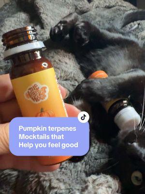 #mocktails #drinktok #beverage #drinksoftiktok #mocktails #pumpkin #terpenes #tiktokshopholidayhaul #happiesthour @TheHappiestHour 