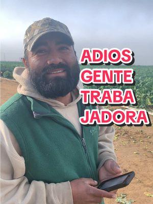 #onthisday #gracias por todo su trabajo #gentetrabajadoradelcampo de #elsalvador #oaxaca #guerrero #morelos #toluca #nayarit #michoacan #yasevan #visados #h2a #visah2a #contratados 