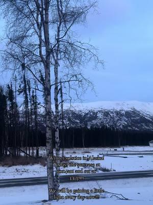 Winter Solstice in Alaska ✨ 🏔️ #wildandfreealaskanmama #alaska #mountains #winter #wintersolstice @Sara P. 