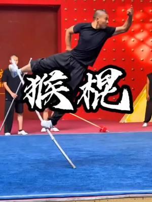 #kungfu #shaolin #shaolinkungfu #shaolinmonk #monk #lee25dragon  #chinesekungfu #foryoupage #viral #fyp 