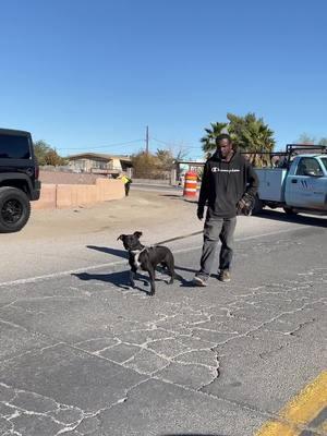 Harold & Taz. #offthestreetz #streetdogzlv #Streetdogz #fyp #morethanjustfood #behindthescenes #homelessness 