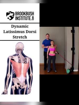 🔴 Latissimus Dorsi Dynamic Stretch Video clip from the online course "Lumbar Extensor: Release and Lengthening": The course counts for 1 credit towards the Brookbush Institute certifications and is pre-approved for continuing education. Watch the full video and take the course! Go to our profile 👉 @BrookbushInstitute Click on linkin.bio/brookbushinstitute Choose this image 🔵 Brookbush Institute offers: • Certified Personal Trainer (CPT) Certification • Human Movement Specialist (HMS) Certification • Integrated Manual Therapist (IMT) Certification • 180+ CEC-approved courses • Courses on desktop or mobile • 500+ videos & 500+ articles • New features and content added weekly! 🔴 Completing courses and certifications has never been easier, and the quality of courses has never been higher! #humanmovementspecialist #effectivetreatment #athletictrainer #correctiveexercisecertification #fitnesscertification #correctiveexercisespecialist #correctiveexercise #rehab #physicaltherapy #physicaltherapist #humanmovementscience #sportsmedicine #sportsperformance #posturecorrection #performancecoach