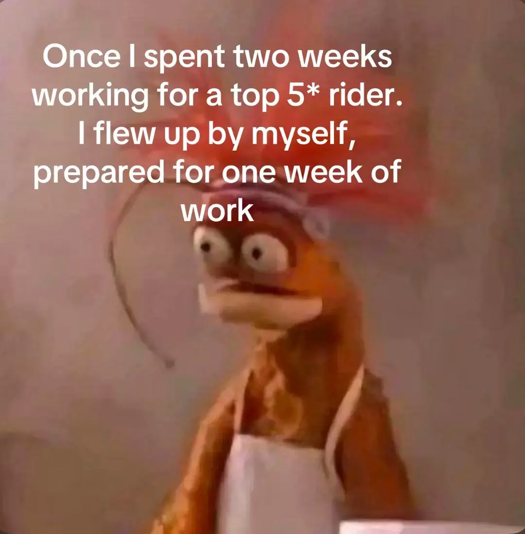 It was NOT Sara Kozumplik fyi! She was lovely #eventing #story #pepe #muppetmeme #muppetmemepepe #funny #lol #haha #workingstudent #workingstudentlife #fyp #foryou #foryoupage 