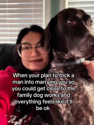 Day 22 ft my heist #familydog #homefortheholidays #funny #dogs #inlaws #newjersey #adhd #newmusic #lymedisease #chroniclymedisease #stepmom #bonusmom #typebmom 