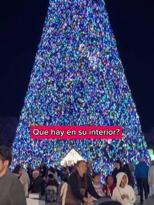 Te deje la ubicacion exacta en el video! #delraybeach #yanimg #giant #christmas #christmastree  #florida. 