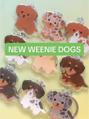 New weens (dachshunds) are joining the pack! 🌭 We added some piebalds and updated our dapples 🤩 #dachshund #weenie #doxiesoftiktok #dogbreeds #SmallBusiness #giftideas #petgifts #keychain #petportrait #petparent 