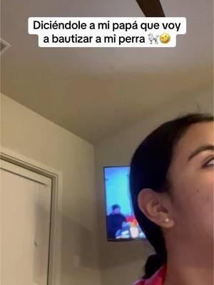 No queria ir pero estaba dispuesto tambien 🤣 #perrosdetiktok #perrostiktokers #mexico🇲🇽 #perrosgraciosos #mexicantiktok #mexicandad #mexicandadsbelike #mexicanosenusa #mexicanos🇲🇽 