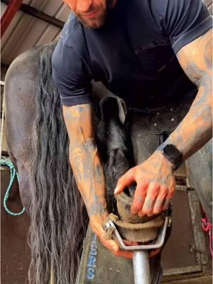 #farrier #farriersoftiktok #asmr #satisfying #farrierlife #horse #horses #horsesoftiktok #hoof #care #animalwelfare 