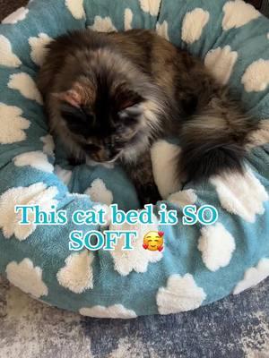 There isn’t a cuter cat bed or calming pet bed out there 🥰 #cat #catsoftiktok #cattok #catbed #catbeds #lesurepet #catfurniture #petbed #calmingpetbed #catdonutbed #kittensoftiktok #catowner #tiktokshopfinds #mademyyear #newyearnewaura #fyp 