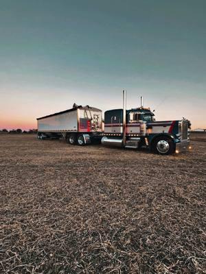 NEVER #peterbilt #359 #oldskool 