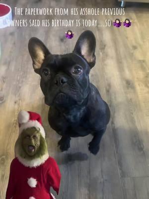 #CapCut #rescuefrenchie #adoptdontshop #terrible2s #dogsofttiktok #dogs #happybirthday #frenchbulldog #frenchbulldogsoftiktok #fyp #fypシ #viraltiktok 