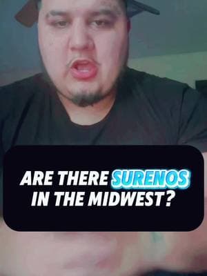 Are there SouthSiders in the Midwest? #sureno #southsiders #cali #california #californiacheck #michigan #ohio #illinois #chicago #detroit #michiganstate #columbus #cleveland #surenos13 #surenoslifestyle #sureno13 #sur #sur13 #chicagotiktok #chitown #chicagocheck #chicagogangs 