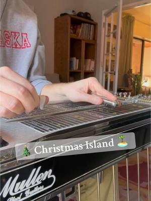 Jimmy has the vibes for every occasion. #christmas #christmasmusic #steelguitar #slideguitar #pedalsteelguitar #jimmybuffett 