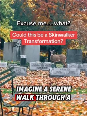 Could this be a Skinwalker Transformation? #Appalachia #creepypasta #appalachiantrail #appalachianmountains #supernatural  #scaringpeople #horrortiktok  #scaryvideos #creepytok  #haunted  #horrorgame  #skinwalker #horrortiktok  #conspiracy #misterio #paranormalactivity  #creepytok #historiasdeterror #horrorstory  #truecrimetiktok  #scarytiktok #hauntedtiktok #paranormaltiktok  #scarystories  #wendigo #skinwalkervibes #capcut #CapCut #deers #notdeer #graveyard 