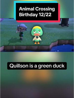 In Animal Crossing on December 22nd, it’s Quillson’s birthday! Happy birthday Quillson! #animalcrossing #animalcrossingnewhorizons #animalcrossingswitch #switch #nintendo #nintendoswitch #switch2 #animalcrossingbirthday #December22nd #December22 #Quillson #animalcrossingQuillson #Quillsonanimalcrossing #acQuillson #Quillsonac #funfacts #didyouknow #animalfunfacts #duck #ducks  #cute #cuteanimals #gaming #GamingOnTikTok #gamingonyoutube #birthday #happybirthday #cozygames #cozygaming #cozygamer