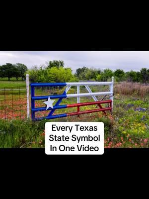 Watch this to learn something you never knew about Texas🤠#TexasStateSymbols #TexasProud #TexasHistory #TexasForever #TexasLove #TexasFacts  