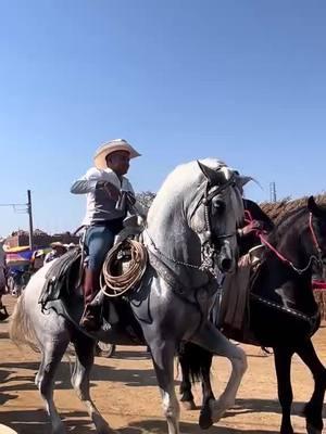 Cuaco cuaco 🔥🔥🔥.                       #caballosbailadores  #gentederancho  #gentederanchowashington  #jaripeos  #bailes  #cuacos  #mexico  #guerrero  #jalisco  #nayarit  #sinaloa  #michoacan  #costarica  #nicaragua  #usa  #chicago  #washington  