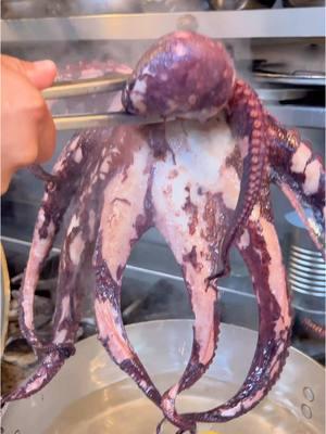 Who needs a partridge in a pear tree when you’ve got octopus on the table? 🐙🎄 #italianrestaurant #italianfood  #italianfoodrecipes #foodrecipes #nyceats #nyceatstagram #foodrecipe #brooklyn #feastofthesevenfishes #octopus 