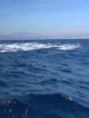 Bluefin madness!! @greenflakefishing capturing some epic foam that makes me wish the summer season would be here already. . . . . . . . . . . . . #BDOutdoors #bdoutdoorsdotcom #bloodydecks #offshorefishing #socal #fisherman #anglers