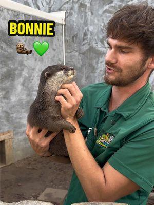 Bonnie and will have an inseparable bond 🦦💚 #otter #otters #zookeeper #viralvideo #fyp #cute #wholesome 