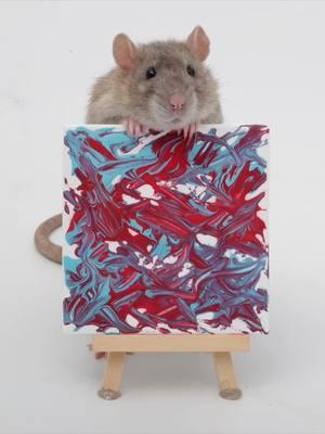 This weeks paw paintings by the rats - Crumb, Cracker, Coffee, Popcorn, Raisin, Tofu, Toast, Cinnamon, Jellybean, Carrot, and Pistachio all did an amazing job!  . If you would like to commission your own rat paw painting, you can do so on our etsy shop called “Rat Paintings” here (also linked in bio): https://www.etsy.com/shop/RatPaintings . . #shadowtherat #ratart #petartist #petpainting #pawpainting #petrats #fancyrats #domesticrats #dumborats #rattricks #rattraining #rattricktraining #paintings #minipaintings #dwarfrats #tinyart #tinyartwork #ratsareawesome