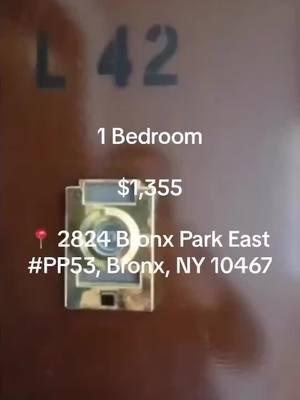 #bronxapartment #bronx #apartmentlisting #newyorkrealestate #explorepage #apartmentinbronx #newyorkapartment #newlisting #newapartment #newyork #newyorkapartment #newyorkliving #nyrealestate #nyapartment #bronxrentals #bronxhomes 6 #bronxapartmentsforrent #bronxrentals #apartmentinthebronx #bronxlistings #broker #bronxrealtor #bronxagent #rentinbronx #nyconebedroom #newyorkhouseforrent