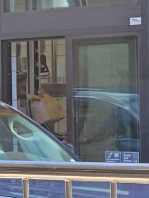 this is probably the first conveyor belt I've seen at any McDonald's 🍟 drive through  #McDonald's #drivethrough #conveyorbelt 